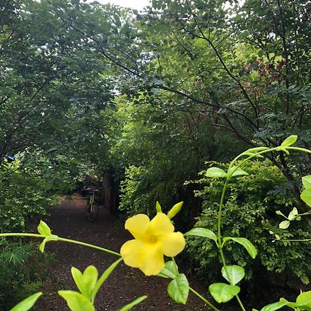 Forest Villa Nature Resort Anuradhapura Dış mekan fotoğraf