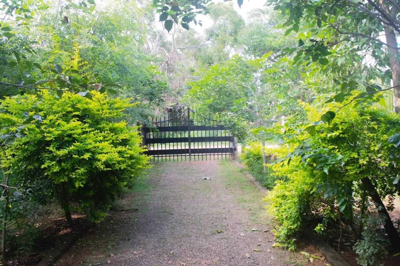 Forest Villa Nature Resort Anuradhapura Dış mekan fotoğraf