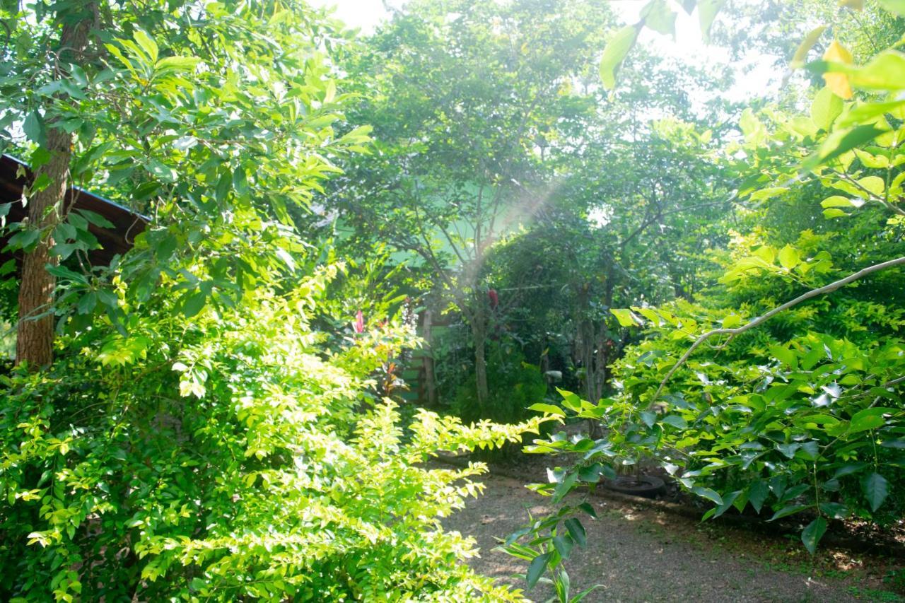 Forest Villa Nature Resort Anuradhapura Dış mekan fotoğraf