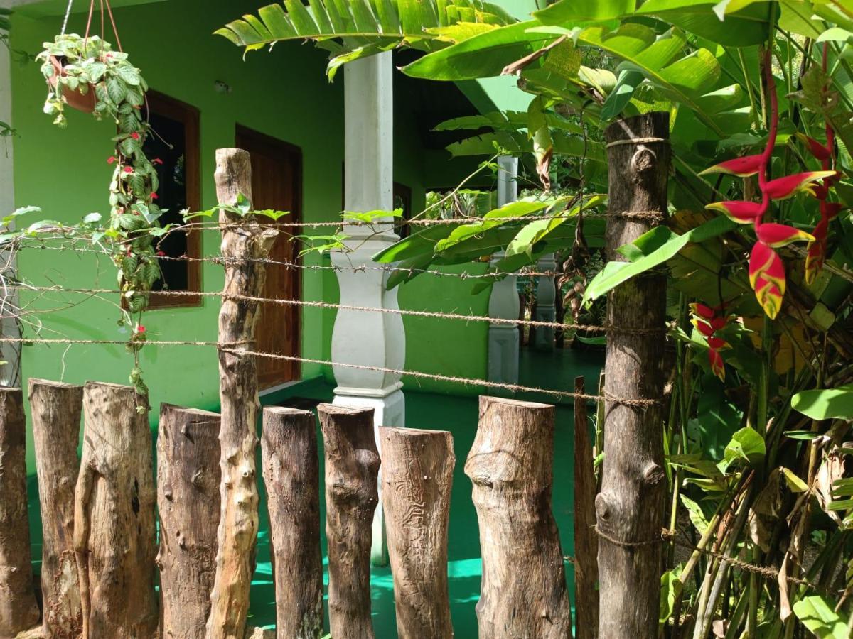 Forest Villa Nature Resort Anuradhapura Dış mekan fotoğraf