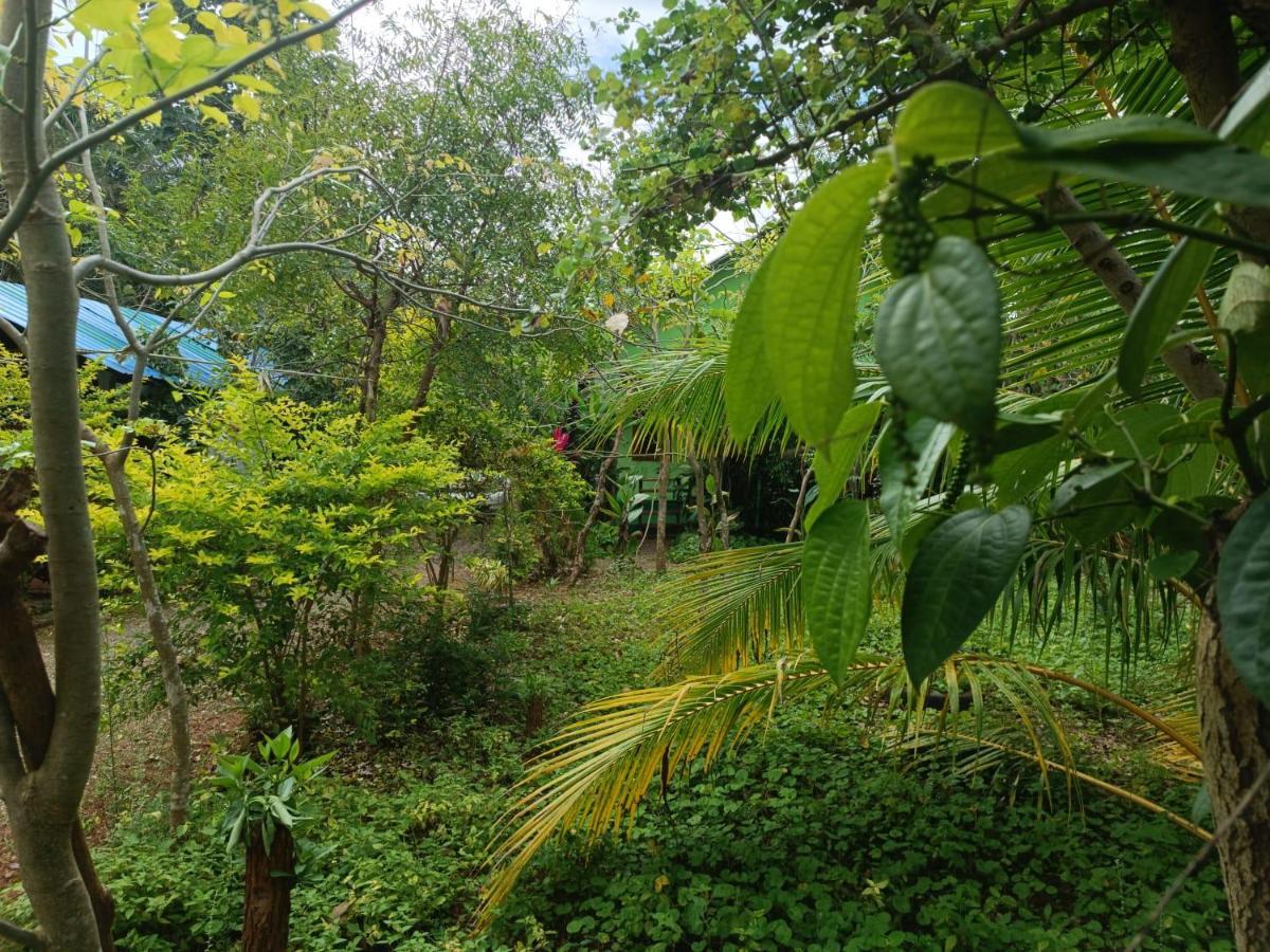 Forest Villa Nature Resort Anuradhapura Dış mekan fotoğraf