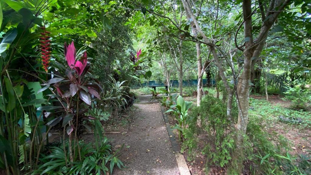 Forest Villa Nature Resort Anuradhapura Dış mekan fotoğraf