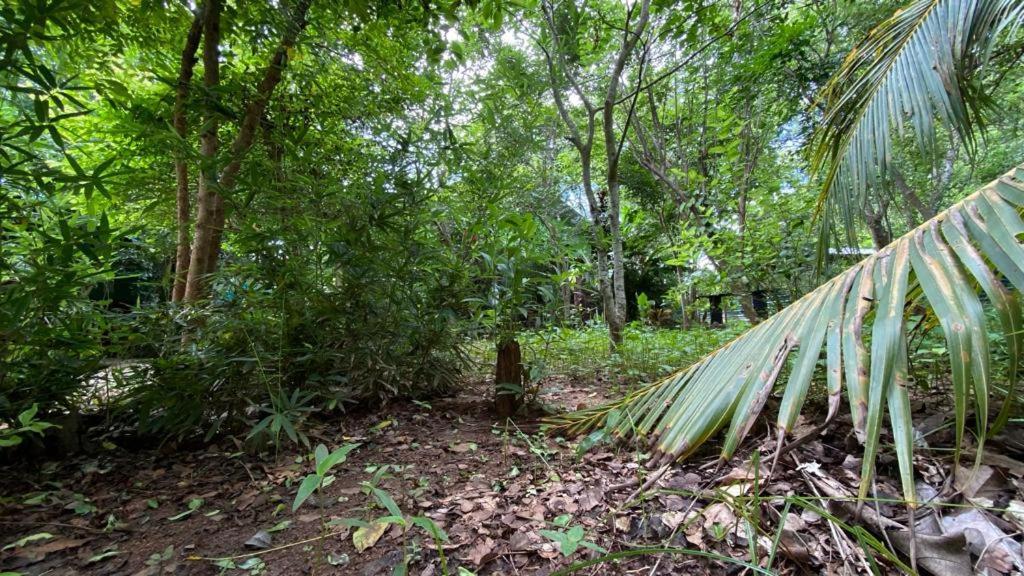 Forest Villa Nature Resort Anuradhapura Dış mekan fotoğraf