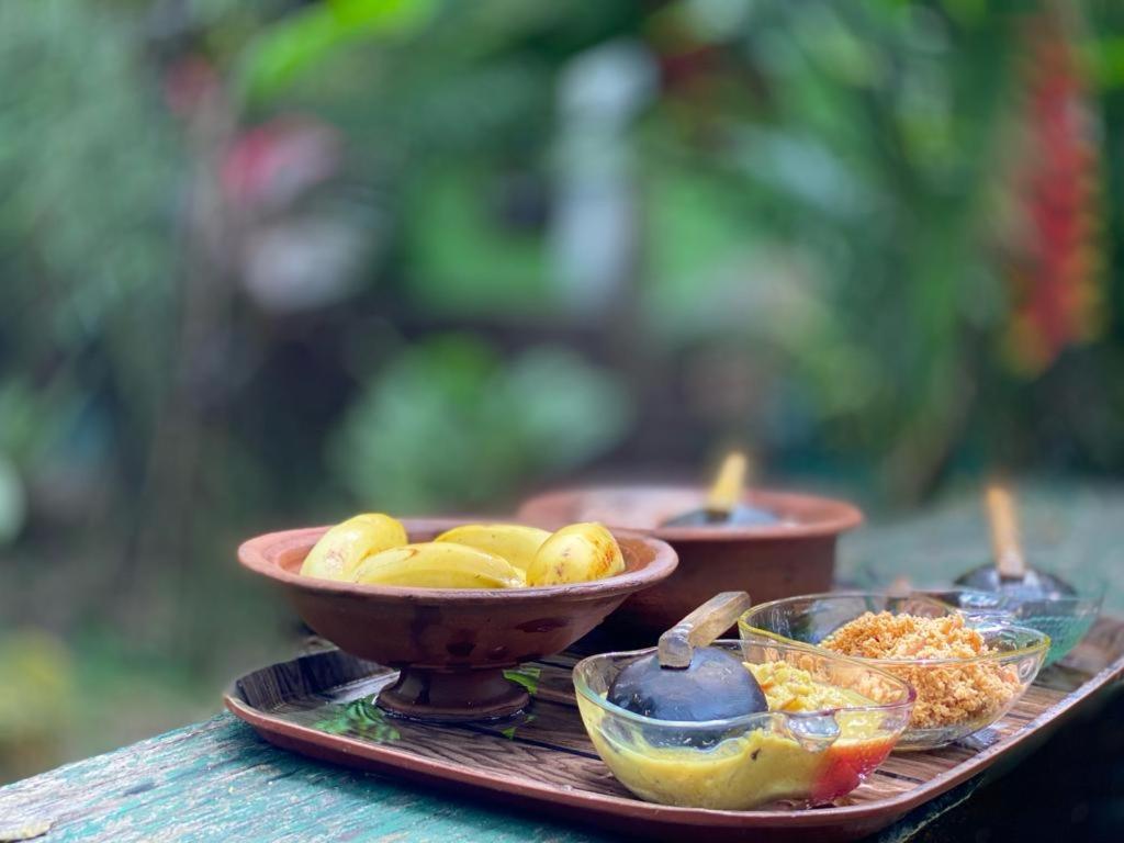Forest Villa Nature Resort Anuradhapura Dış mekan fotoğraf