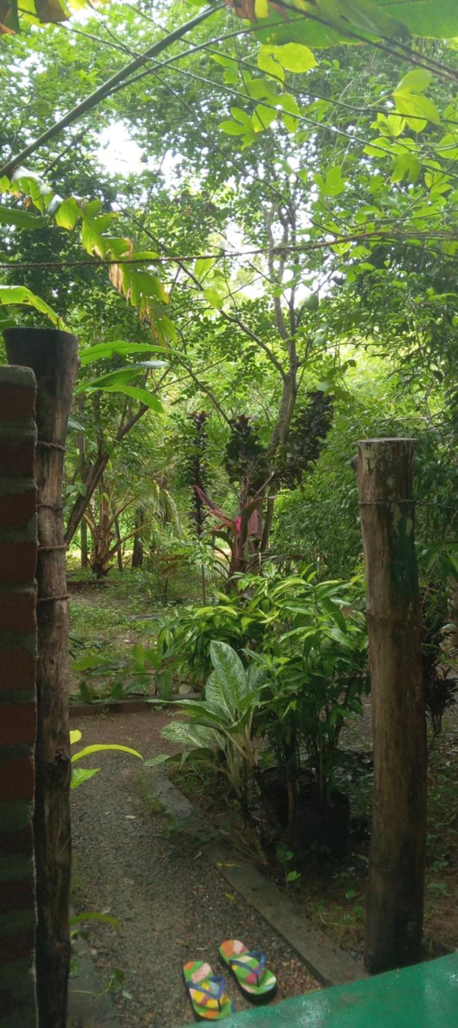 Forest Villa Nature Resort Anuradhapura Dış mekan fotoğraf