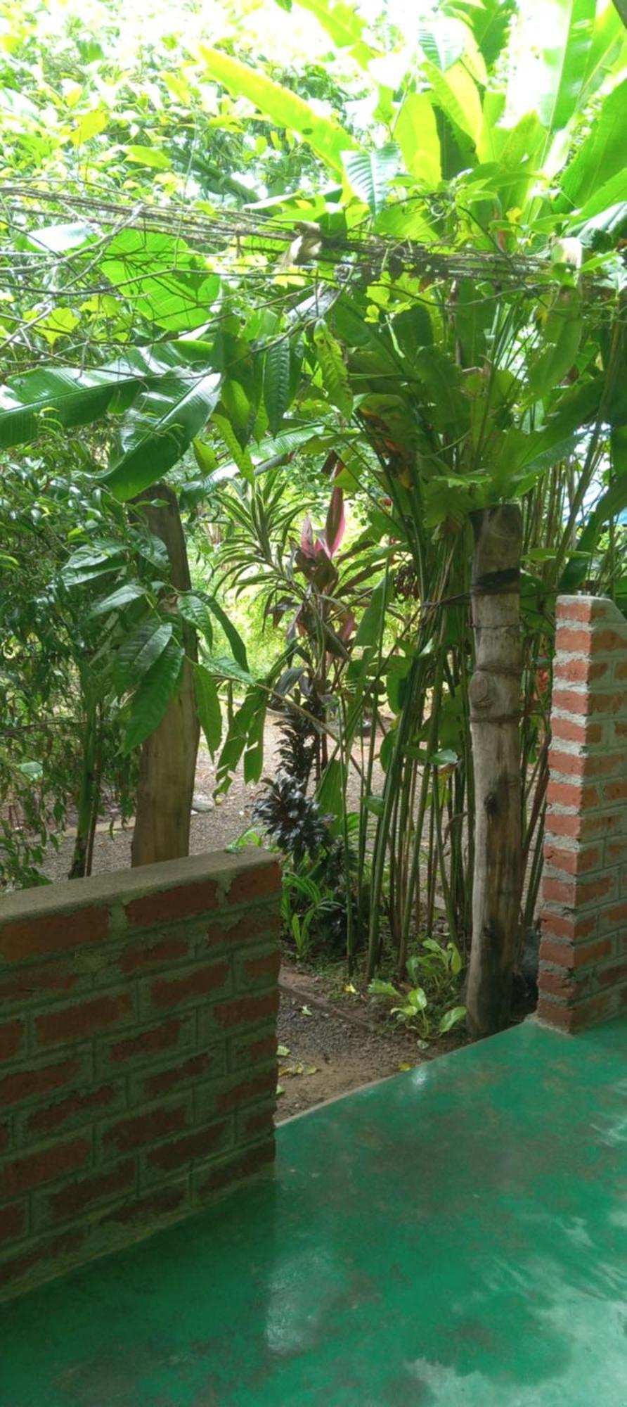 Forest Villa Nature Resort Anuradhapura Dış mekan fotoğraf
