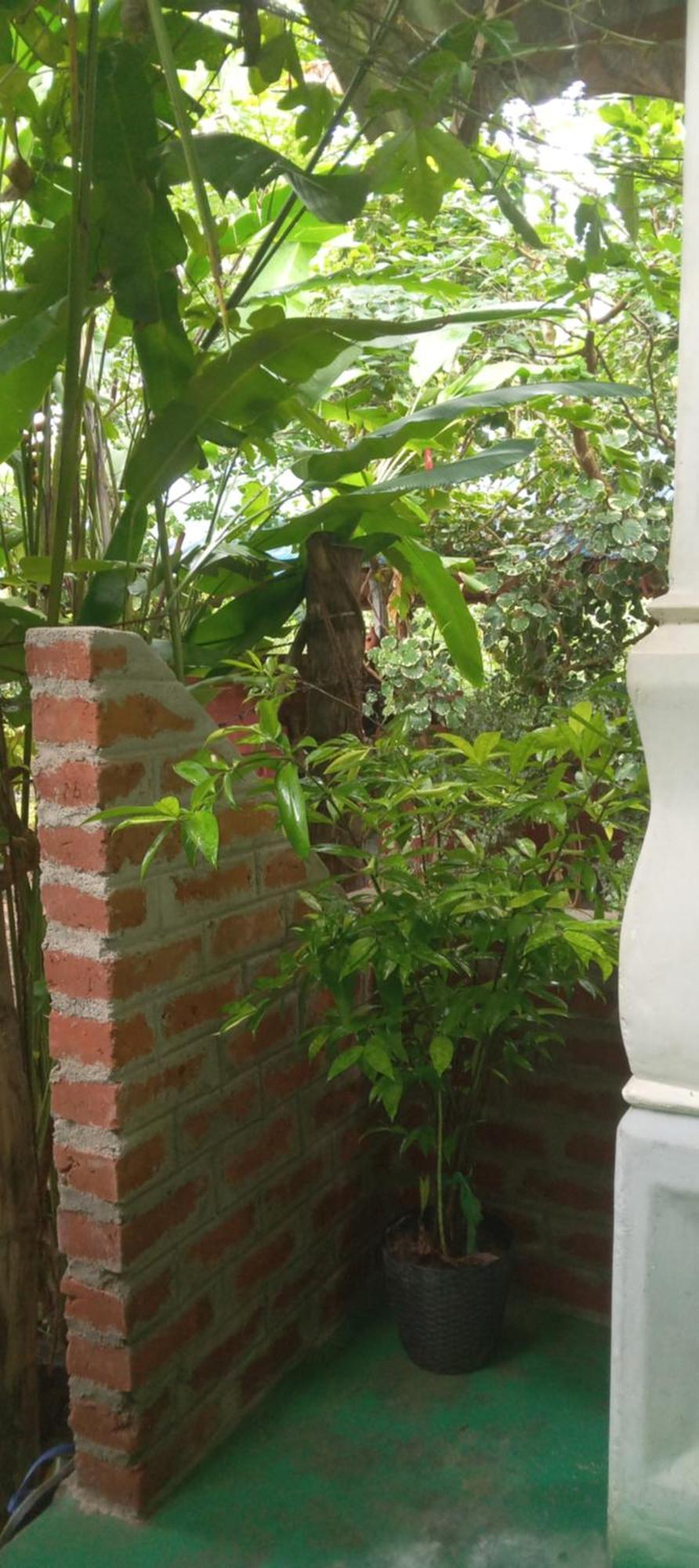 Forest Villa Nature Resort Anuradhapura Dış mekan fotoğraf