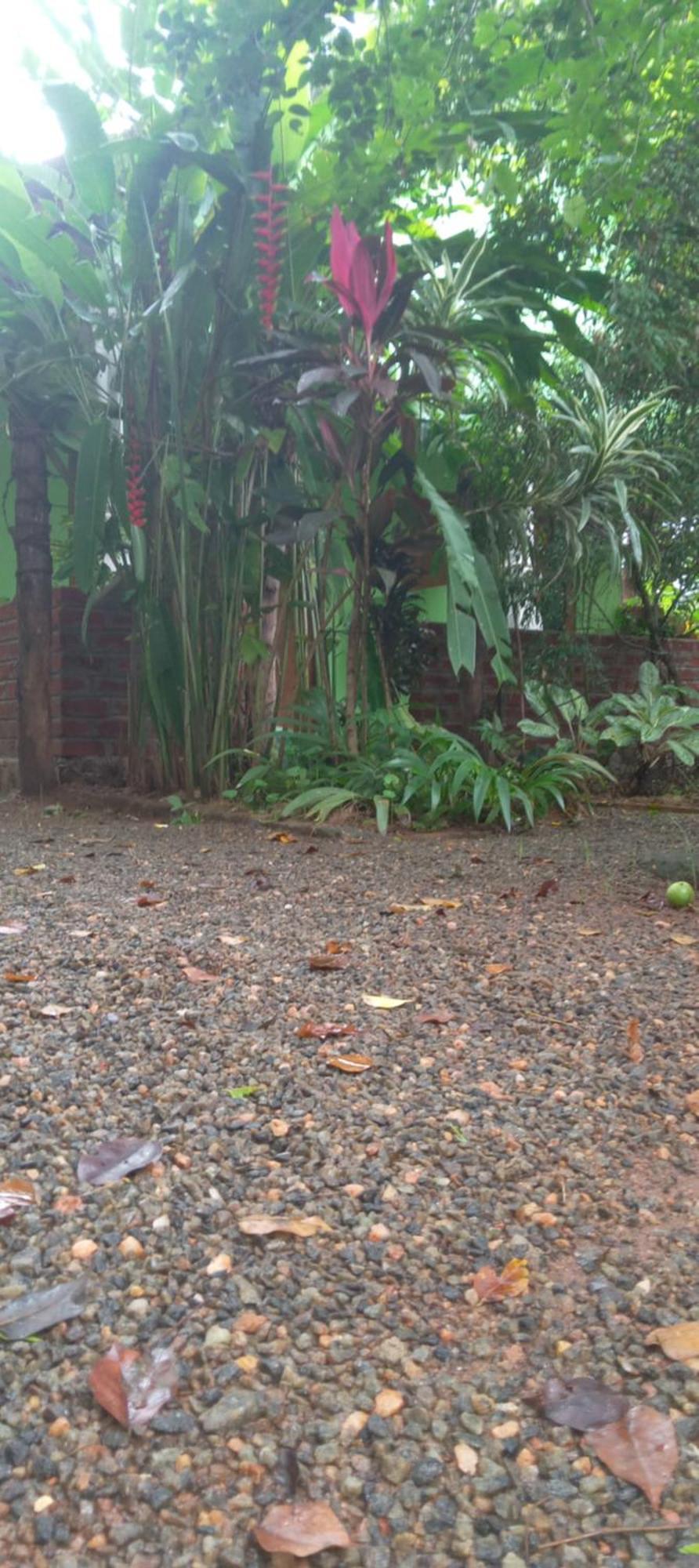 Forest Villa Nature Resort Anuradhapura Dış mekan fotoğraf