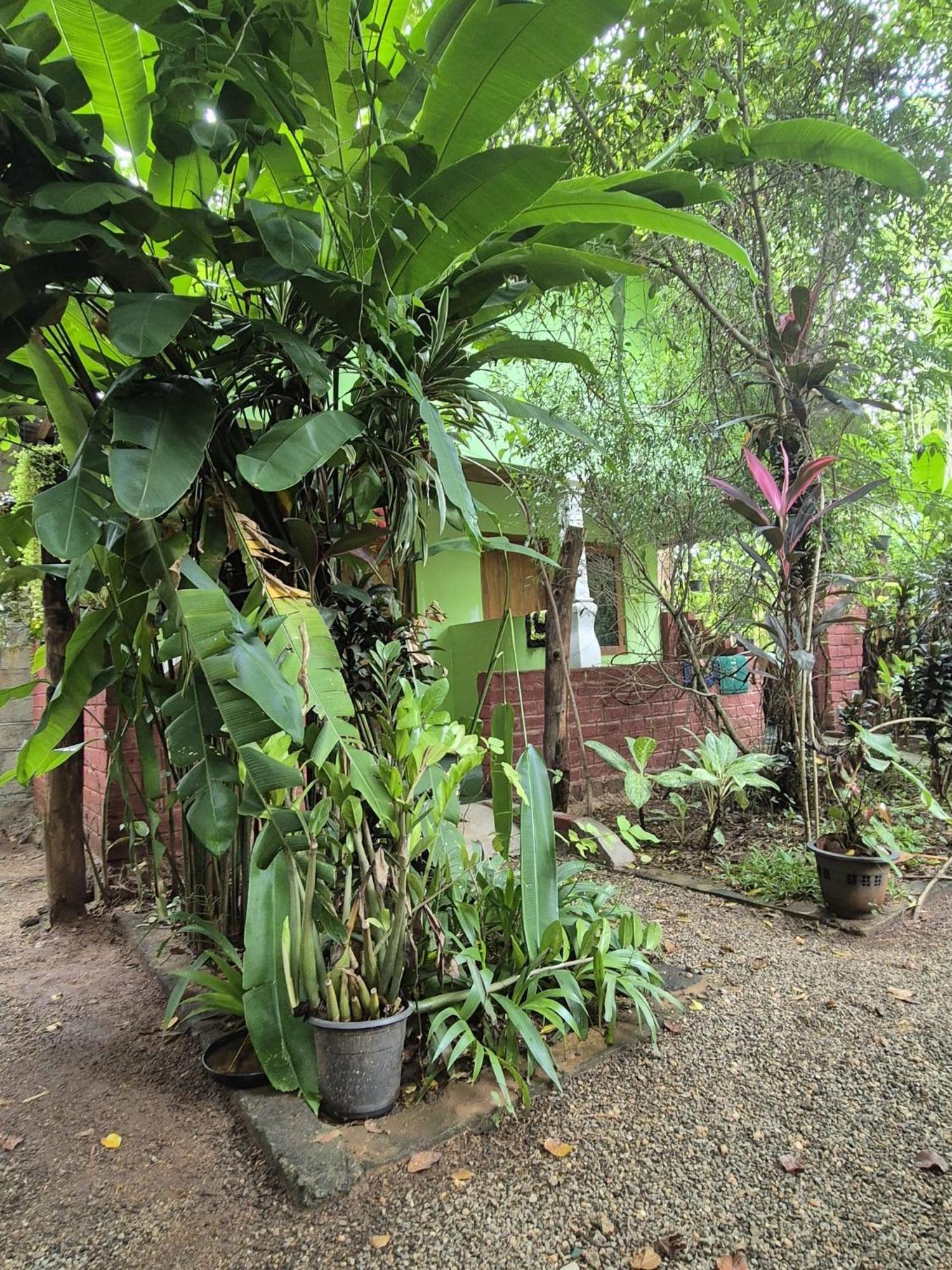 Forest Villa Nature Resort Anuradhapura Dış mekan fotoğraf