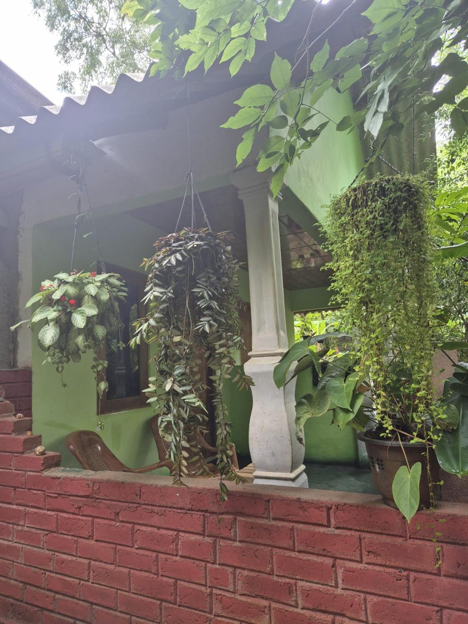 Forest Villa Nature Resort Anuradhapura Dış mekan fotoğraf